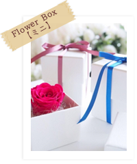 Flower Box 【ミニ】