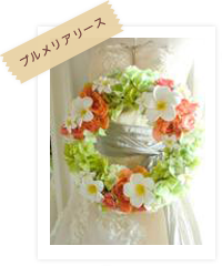 【プルメリアリース】